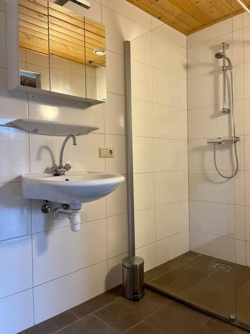 Unieke Houten Villa Met Sauna In Twente - 6P Den Ham Εξωτερικό φωτογραφία
