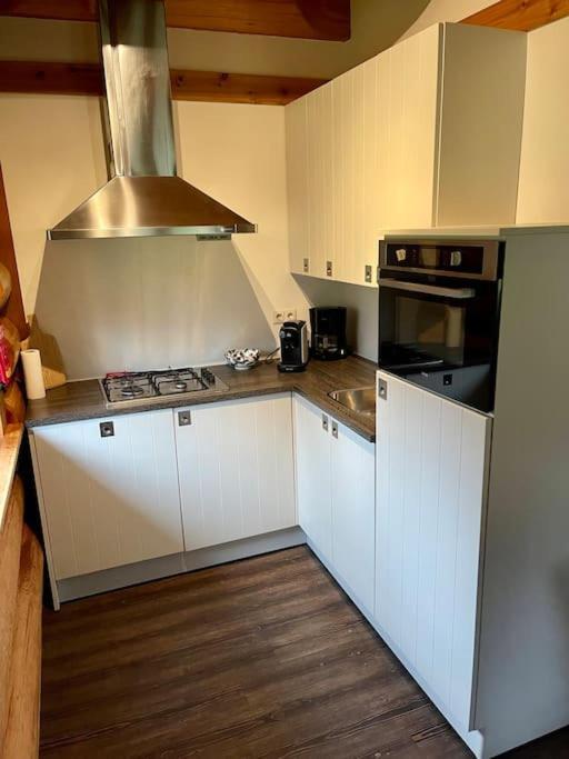 Unieke Houten Villa Met Sauna In Twente - 6P Den Ham Εξωτερικό φωτογραφία
